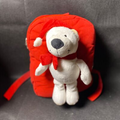 Red Bear bag for kids